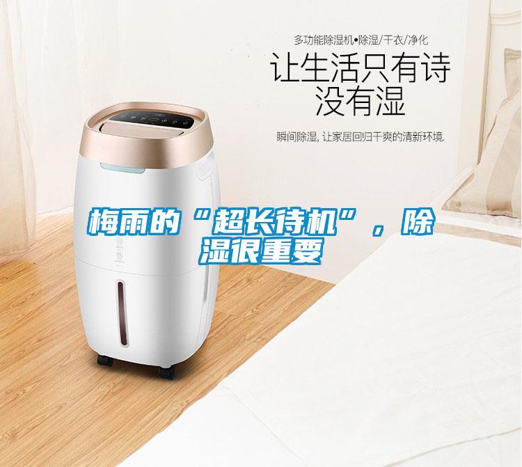 梅雨的“超長待機(jī)”，除濕很重要