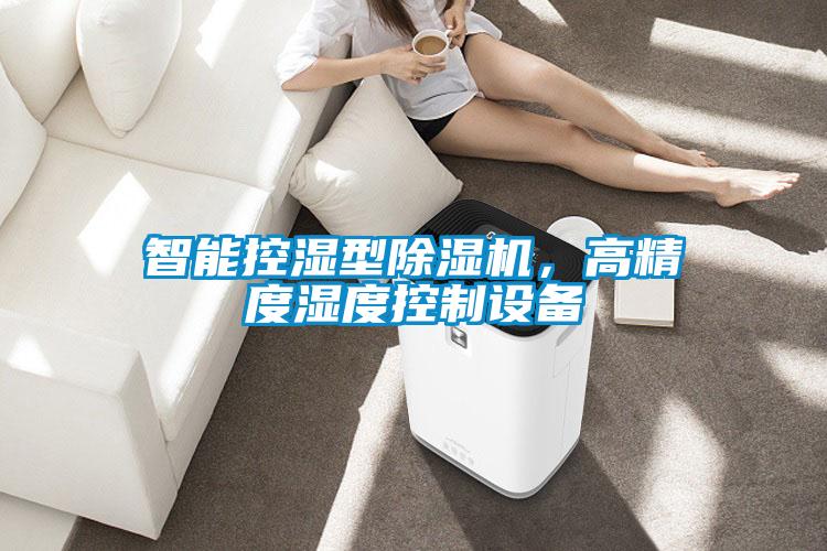 智能控濕型除濕機,高精度濕度控制設備