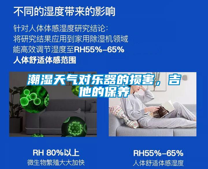 潮濕天氣對樂器的損害,吉他的保養