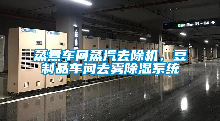 蒸煮車間蒸汽去除機，豆制品車間去霧除濕系統
