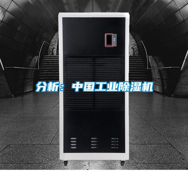 分析：中國工業除濕機
