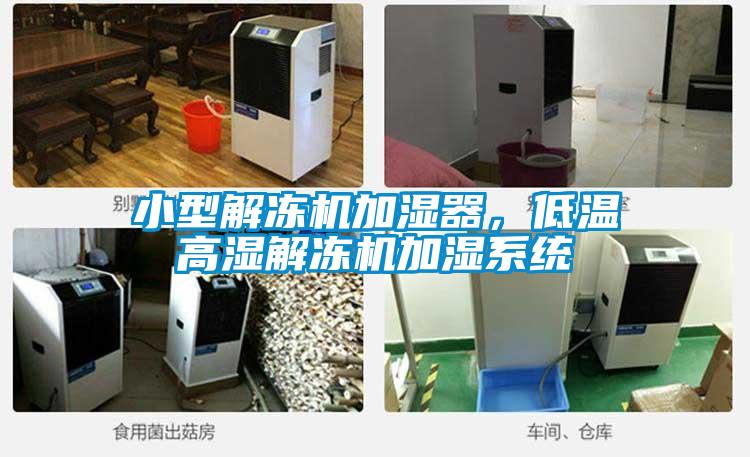 小型解凍機加濕器,低溫高濕解凍機加濕系統(tǒng)