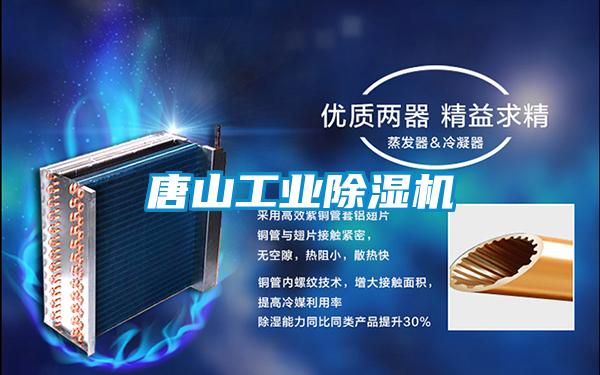 唐山工業除濕機
