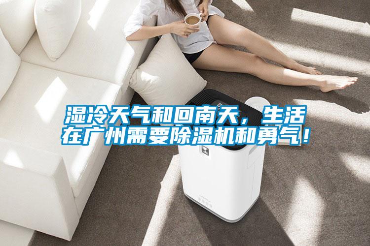 濕冷天氣和回南天,生活在廣州需要除濕機和勇氣!