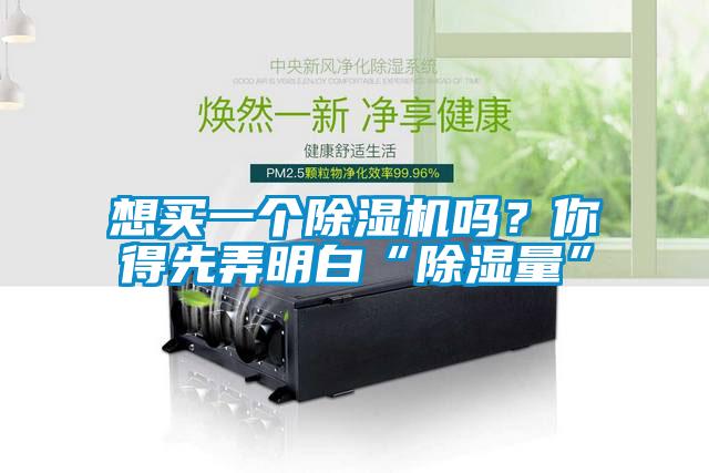 想買一個除濕機嗎?你得先弄明白“除濕量”