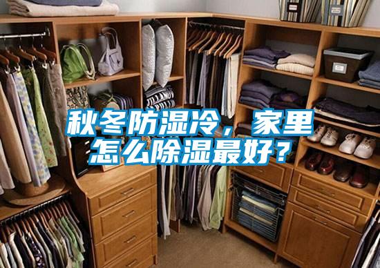 秋冬防濕冷，家里怎么除濕最好？