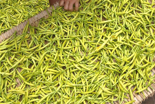 1525656123398289.jpg 5.jpg