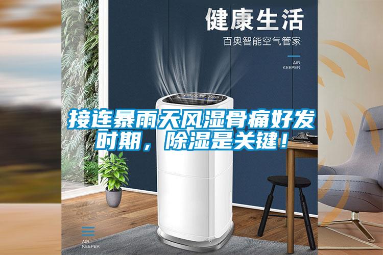 接連暴雨天風濕骨痛好發時期,除濕是關鍵!