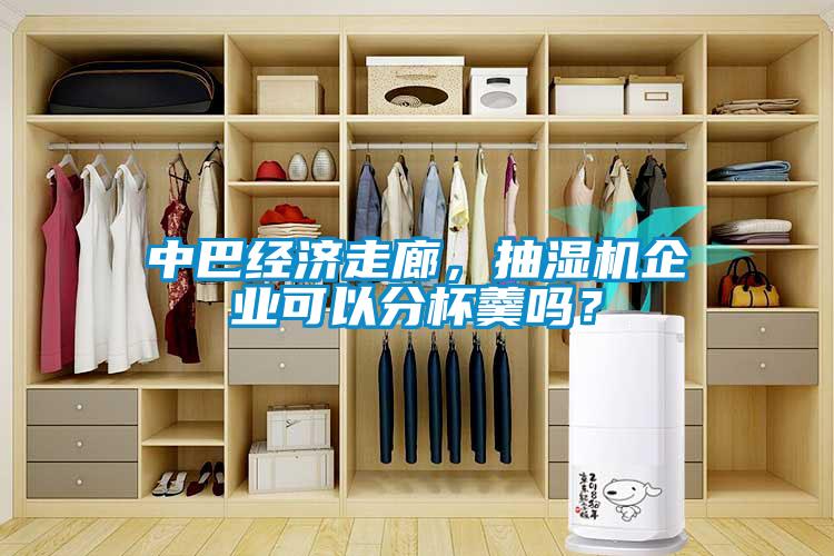 中巴經濟走廊，抽濕機企業(yè)可以分杯羹嗎？