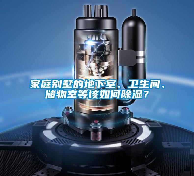 家庭別墅的地下室、衛生間、儲物室等該如何除濕?