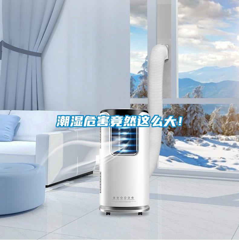 潮濕危害竟然這么大!