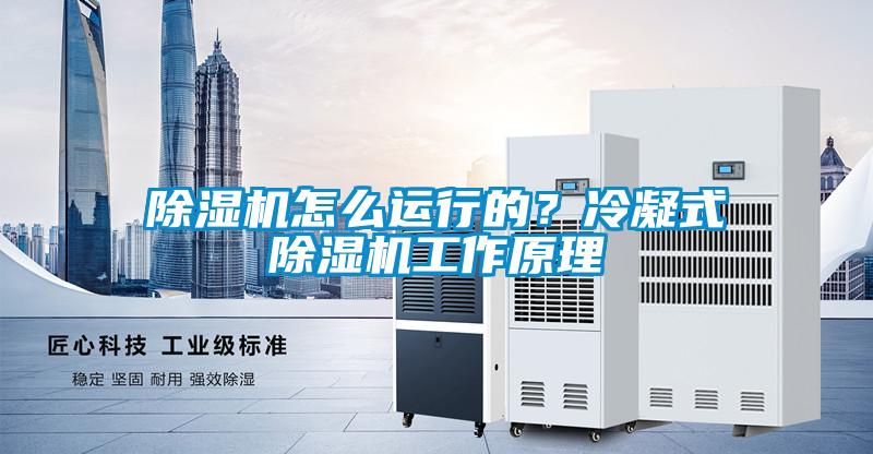 除濕機怎么運行的?冷凝式除濕機工作原理