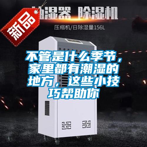 不管是什么季節，家里都有潮濕的地方，這些小技巧幫助你