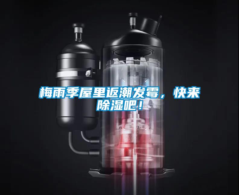 梅雨季屋里返潮發霉，快來除濕吧！
