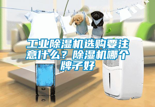工業除濕機選購要注意什么？除濕機哪個牌子好