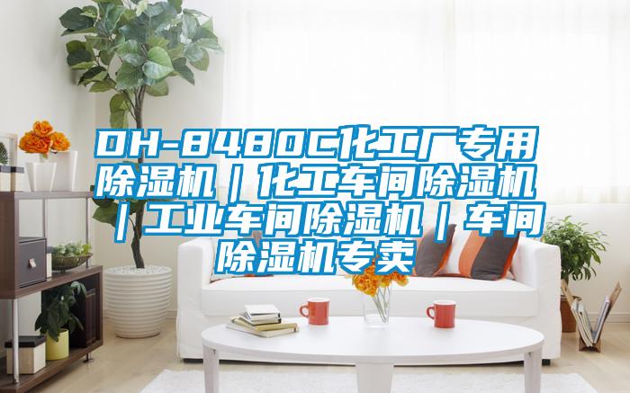 DH-8480C化工廠專用除濕機|化工車間除濕機|工業(yè)車間除濕機|車間除濕機專賣