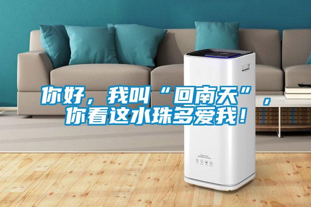 你好，我叫“回南天”，你看這水珠多愛我！