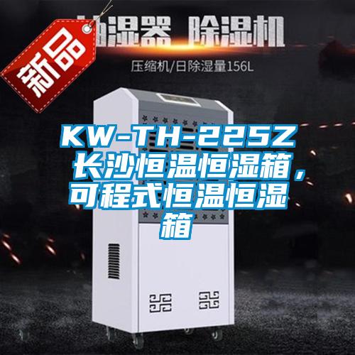 KW-TH-225Z 長沙恒溫恒濕箱,可程式恒溫恒濕箱