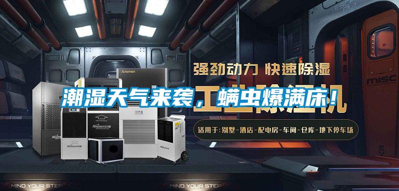 潮濕天氣來襲，螨蟲爆滿床！