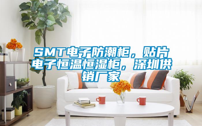 SMT電子防潮柜，貼片電子恒溫恒濕柜，深圳供銷廠家