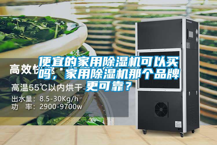 便宜的家用除濕機可以買嗎，家用除濕機那個品牌更可靠？