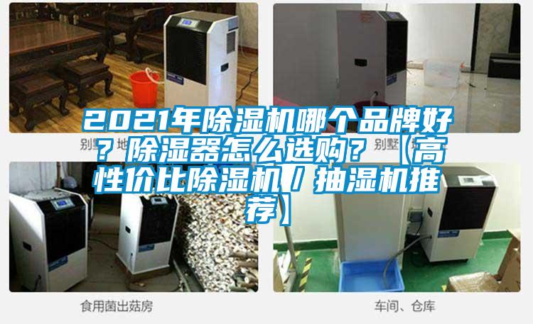2021年除濕機哪個品牌好？除濕器怎么選購？【高性價比除濕機／抽濕機推薦】