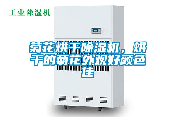 菊花烘干除濕機,烘干的菊花外觀好顏色佳