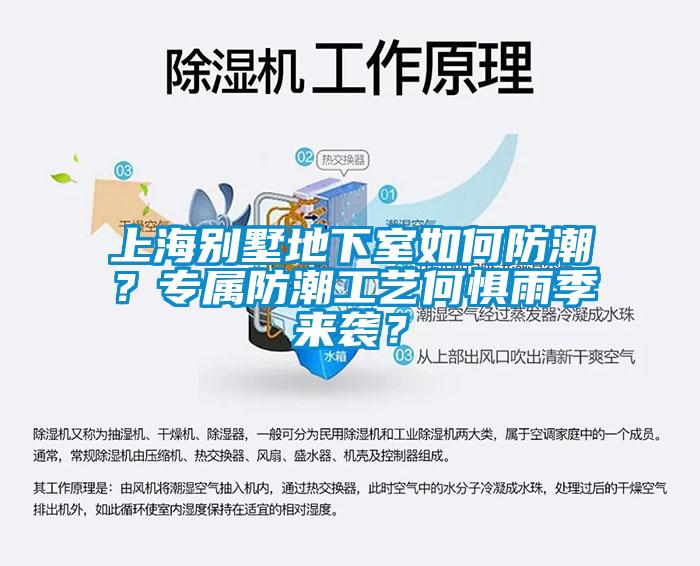上海別墅地下室如何防潮?專屬防潮工藝何懼雨季來襲?