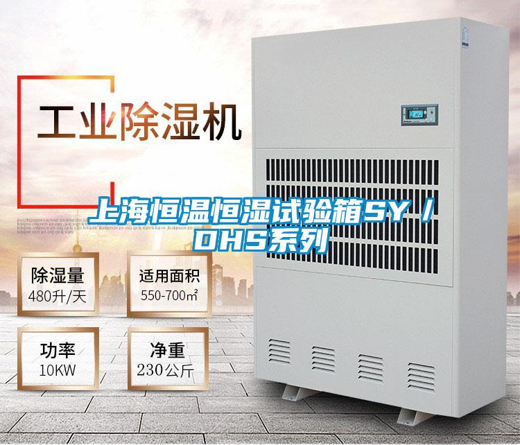 上海恒溫恒濕試驗箱SY/DHS系列