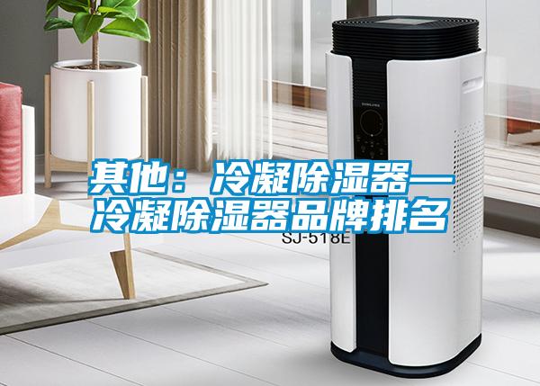 其他:冷凝除濕器—冷凝除濕器品牌排名