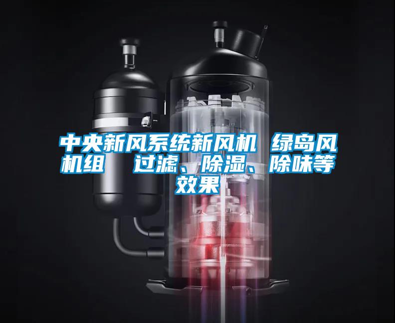 中央新風系統(tǒng)新風機 綠島風機組  過濾、除濕、除味等效果