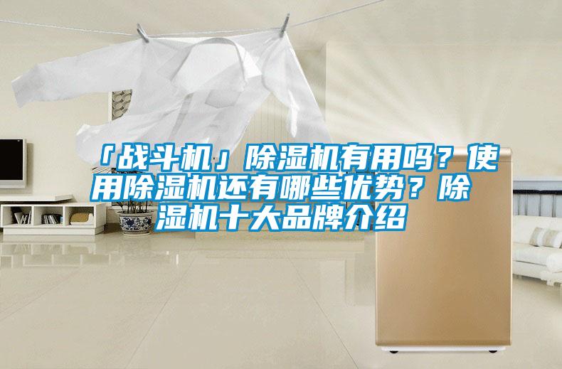 「戰(zhàn)斗機(jī)」除濕機(jī)有用嗎?使用除濕機(jī)還有哪些優(yōu)勢(shì)?除濕機(jī)十大品牌介紹