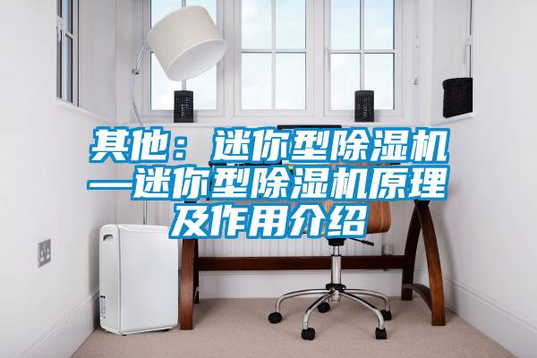 其他:迷你型除濕機—迷你型除濕機原理及作用介紹