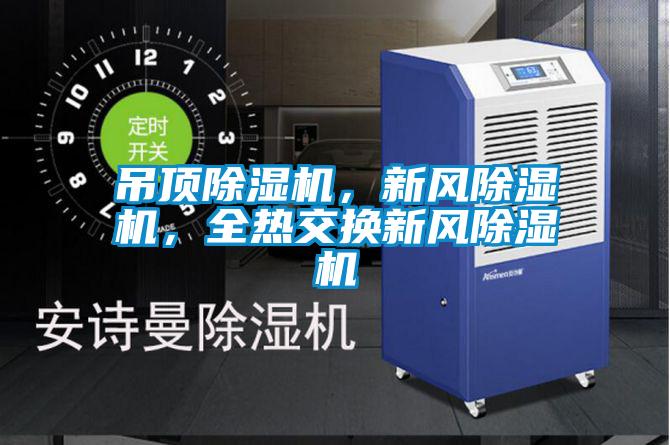 吊頂除濕機(jī),新風(fēng)除濕機(jī),全熱交換新風(fēng)除濕機(jī)