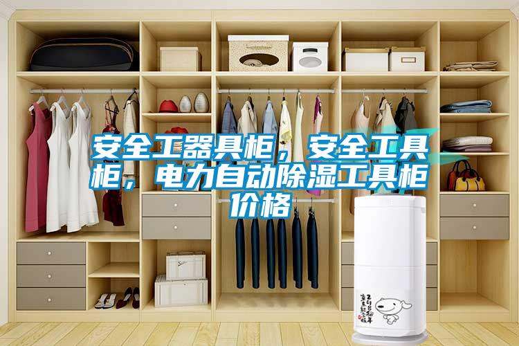 安全工器具柜,安全工具柜,電力自動(dòng)除濕工具柜價(jià)格