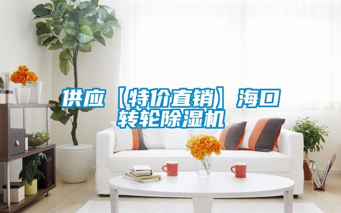 供應【特價直銷】??谵D輪除濕機