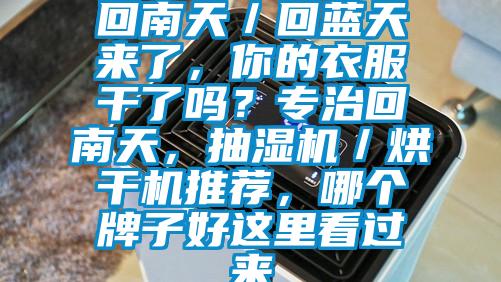 回南天/回藍天來了,你的衣服干了嗎?專治回南天,抽濕機/烘干機推薦,哪個牌子好這里看過來