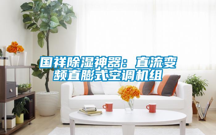 國(guó)祥除濕神器:直流變頻直膨式空調(diào)機(jī)組