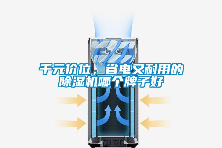 千元價位,省電又耐用的除濕機哪個牌子好