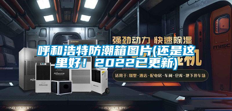 呼和浩特防潮箱圖片(還是這里好!2022已更新)