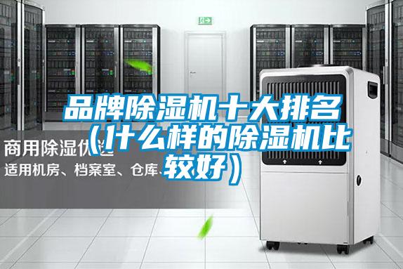 品牌除濕機(jī)十大排名(什么樣的除濕機(jī)比較好)