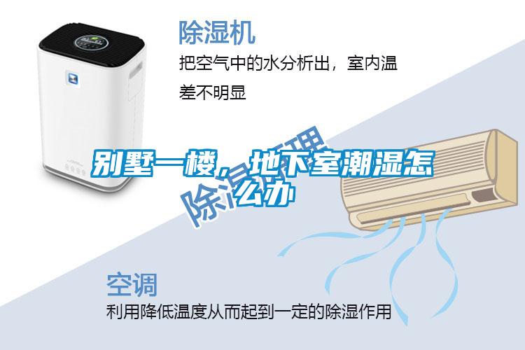 別墅一樓，地下室潮濕怎么辦