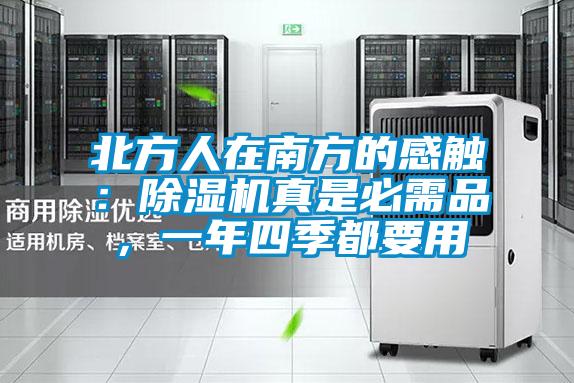 北方人在南方的感觸:除濕機(jī)真是必需品,一年四季都要用