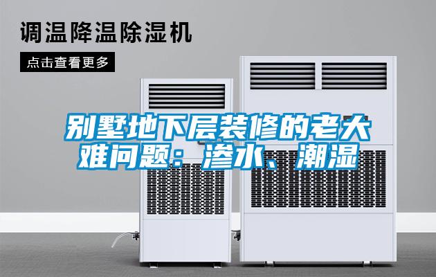 別墅地下層裝修的老大難問題：滲水、潮濕