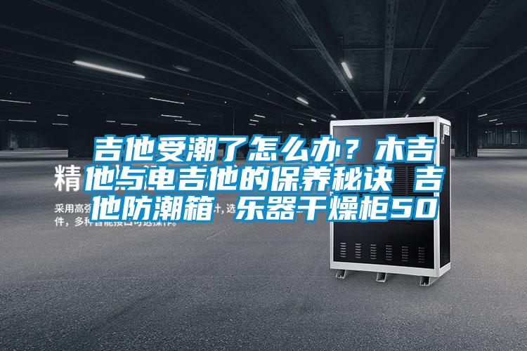 吉他受潮了怎么辦?木吉他與電吉他的保養秘訣 吉他防潮箱 樂器干燥柜50