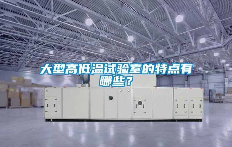 大型高低溫試驗(yàn)室的特點(diǎn)有哪些?