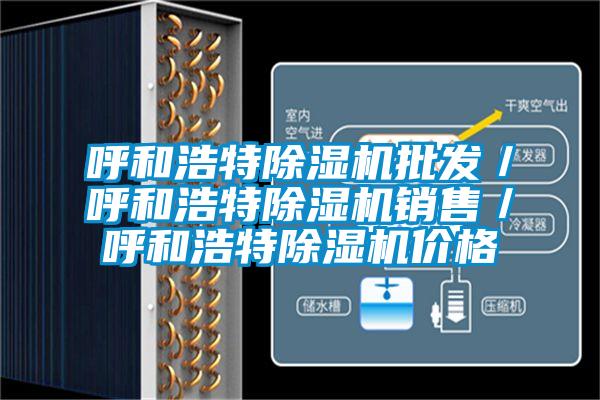 呼和浩特除濕機(jī)批發(fā)/呼和浩特除濕機(jī)銷售/呼和浩特除濕機(jī)價(jià)格