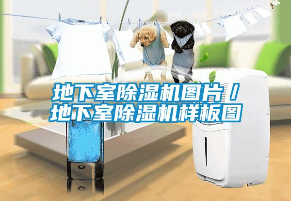 地下室除濕機(jī)圖片/地下室除濕機(jī)樣板圖