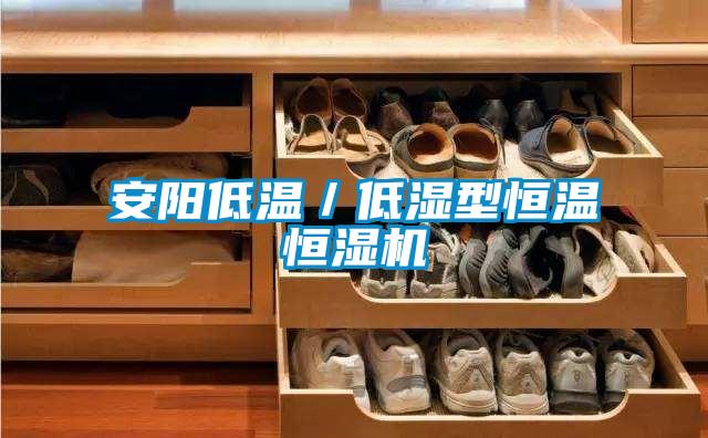 安陽低溫/低濕型恒溫恒濕機