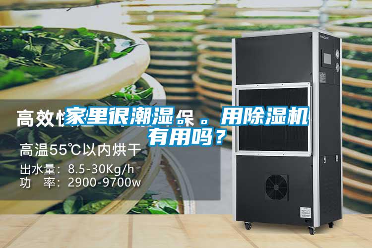 家里很潮濕。。用除濕機有用嗎？